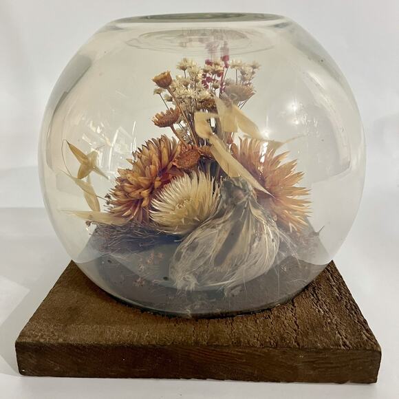 Vintage 60s Dried Flower Glass Terrarium Bird Floral Strawflower Daisy Bouquet - Picture 3 of 10